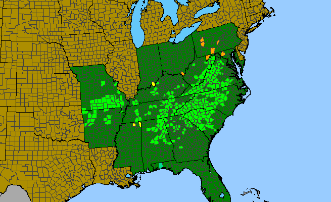 The range of Ligusticum canadense